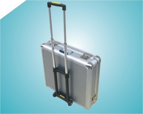 Large Capacity EVA Trays Shopping Trolley Bags on Wheels with Sliver Aluminum Frame