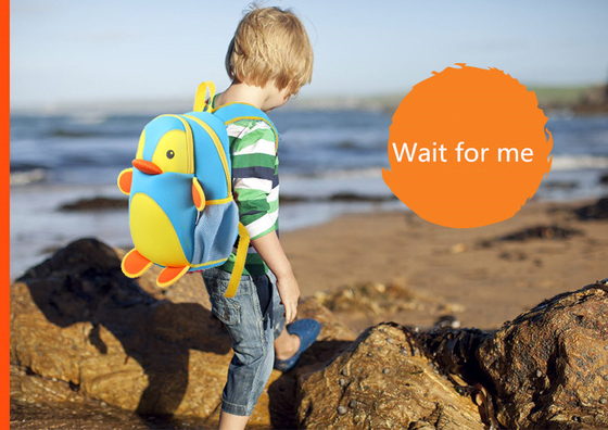 Multi Colors Personalized Kids Backpack , Large Capacity School Bags for Kids